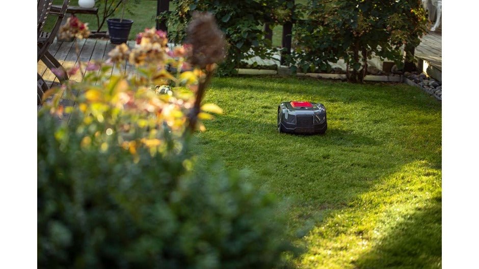 Robotklipper med kabel til 800 m2 - Printzlau